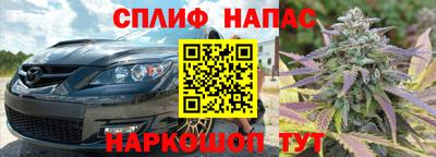 индика Беслан