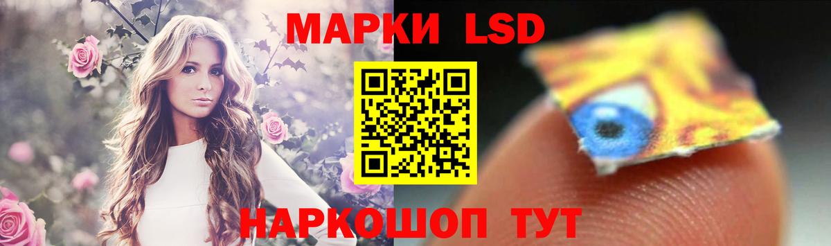 Каннабис  ГАШ  Вход с VPN  Гарик  Санкт-Петербург  Меф  Кокаин 