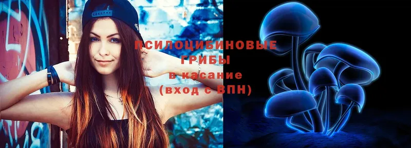 Галлюциногенные грибы Cubensis  нарко площадка как зайти  Санкт-Петербург 