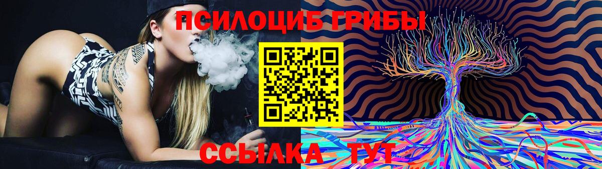 купить наркоту  Санкт-Петербург  Псилоцибиновые грибы Magic Shrooms 